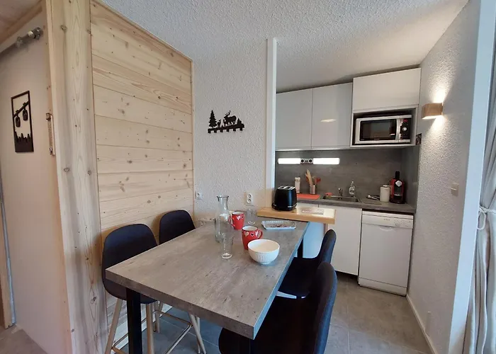 Appartement 28m² 4 Pers, Sauna, Pied Des Pistes - Fr-1-516-223