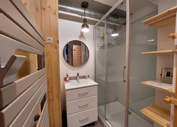 Appartement 28m² 4 Pers, Sauna, Pied Des Pistes - Fr-1-516-223 Les Deux Alpes