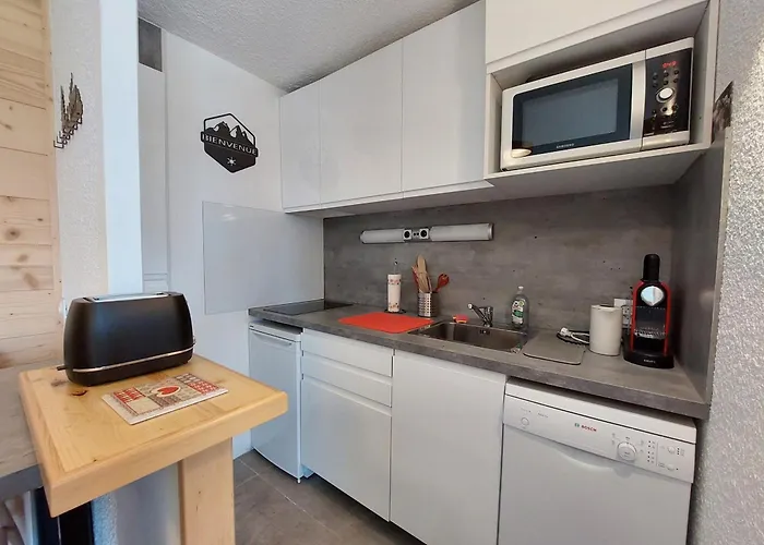 28m² 4 Pers, Sauna, Pied Des Pistes - Fr-1-516-223