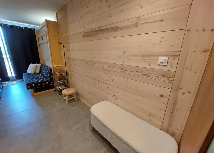 Appartement 28m² 4 Pers, Sauna, Pied Des Pistes - Fr-1-516-223 Les Deux Alpes